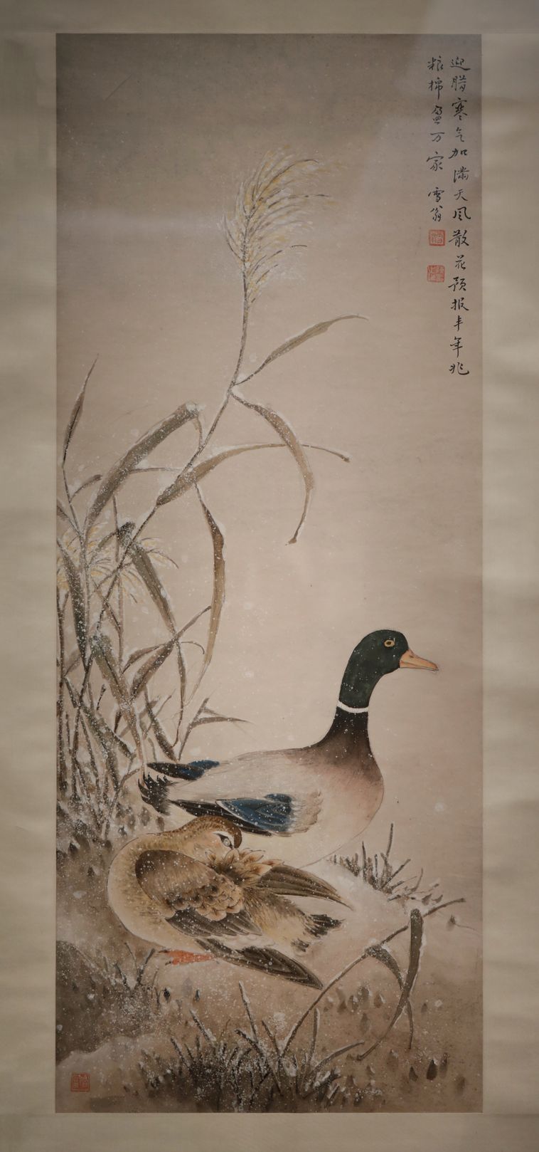 雪凫缩略图