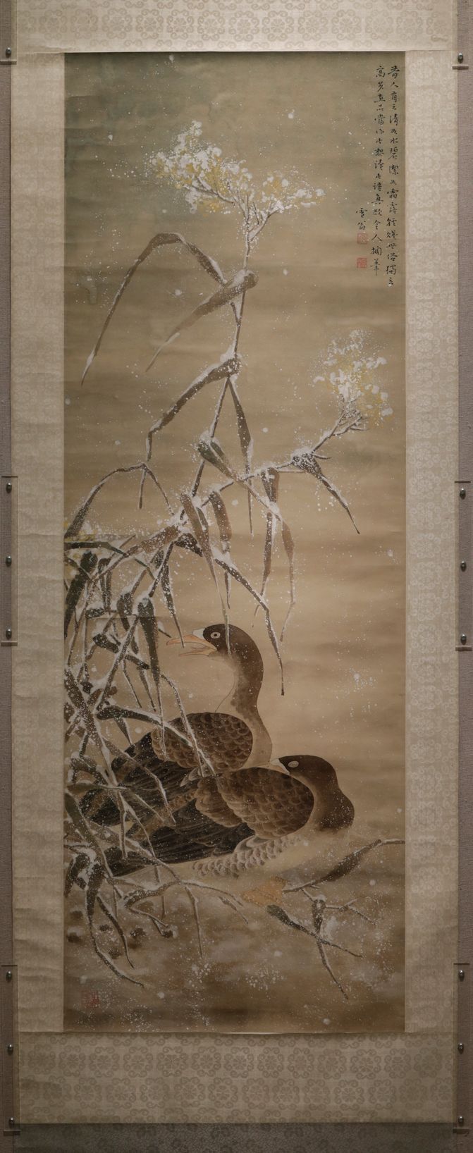 雪雁缩略图
