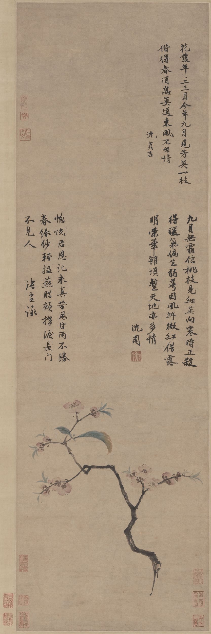 九月桃花图预览图