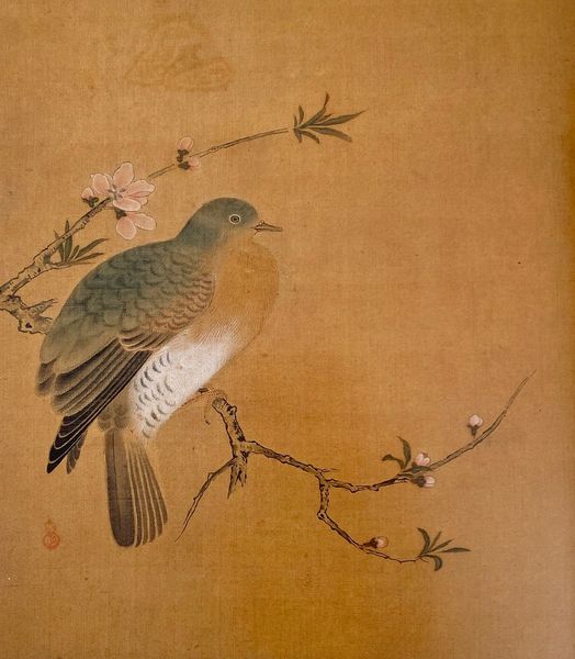 桃鸠图预览图