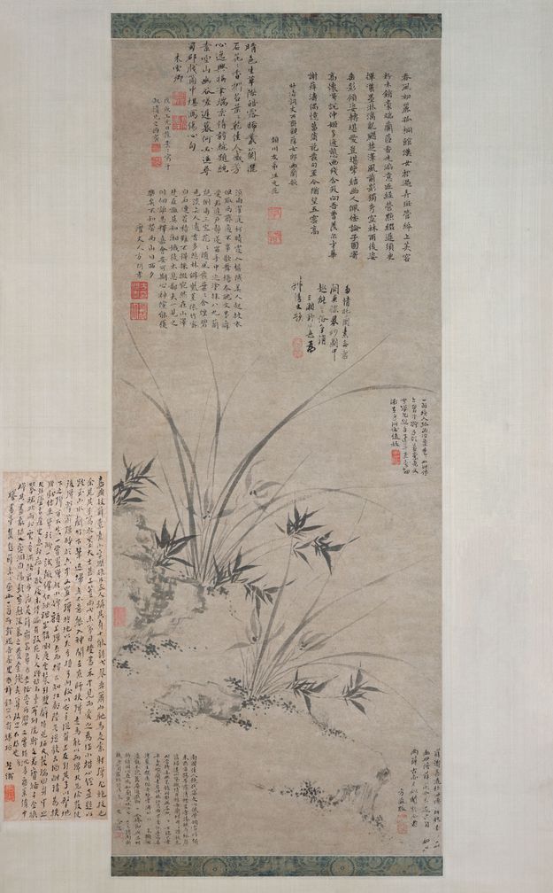 兰花图预览图