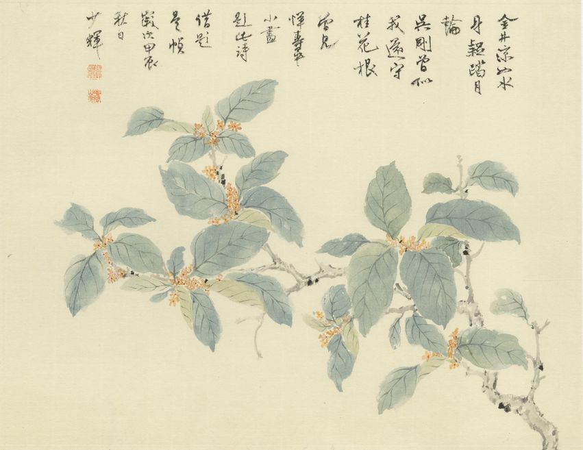桂花图缩略图