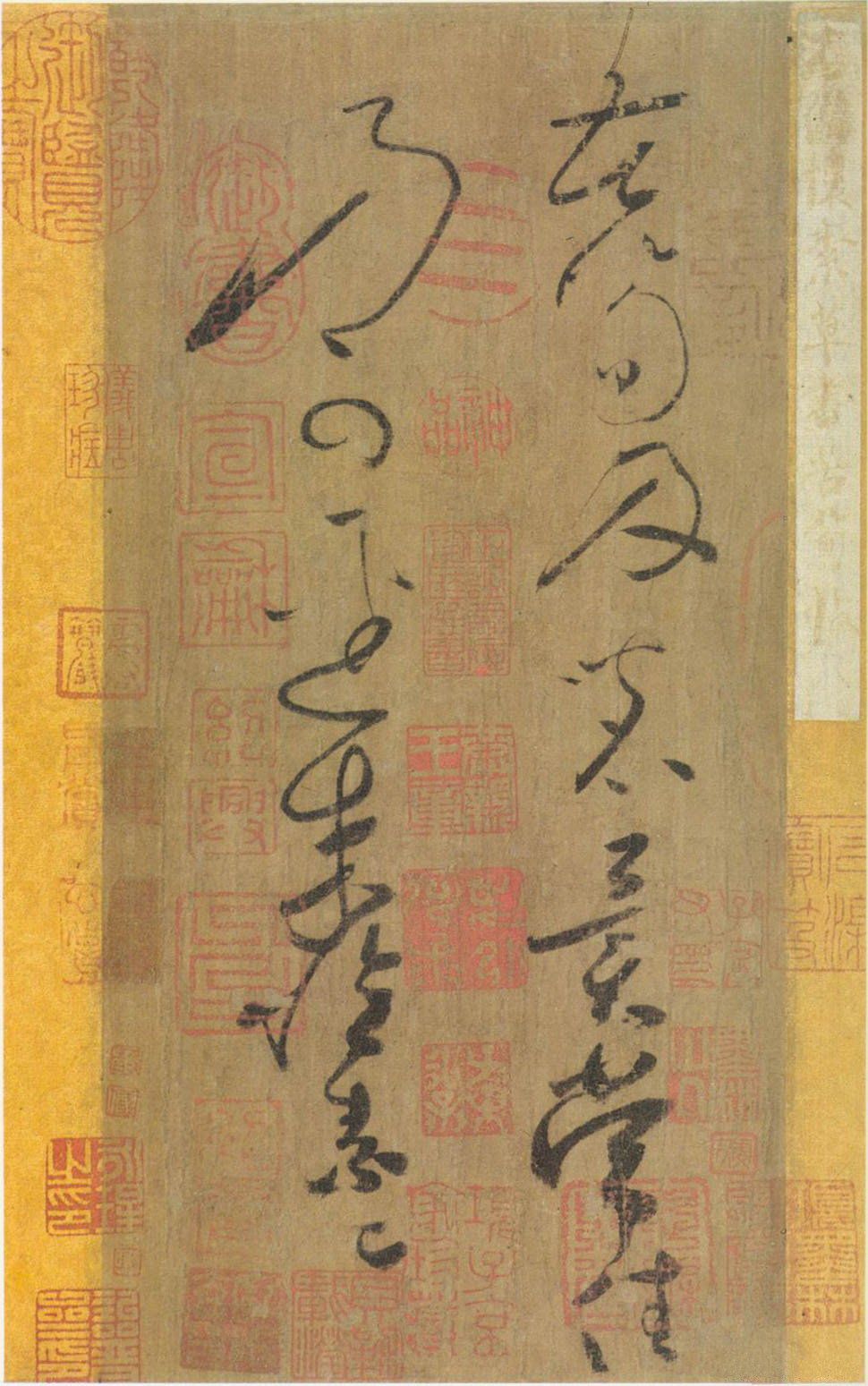 苦笋帖缩略图