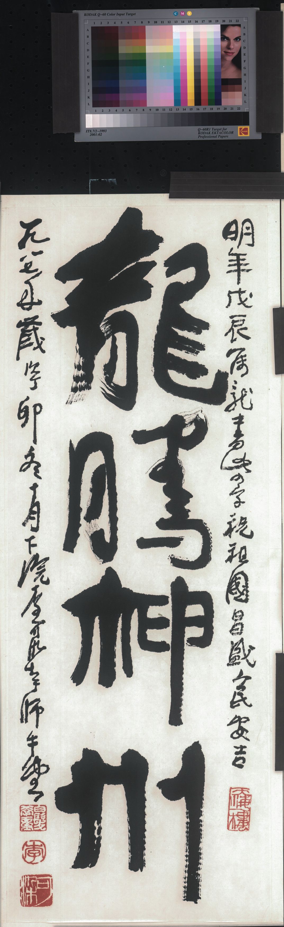 龙腾神州预览图