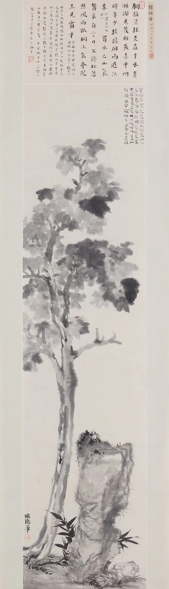 碧梧图缩略图
