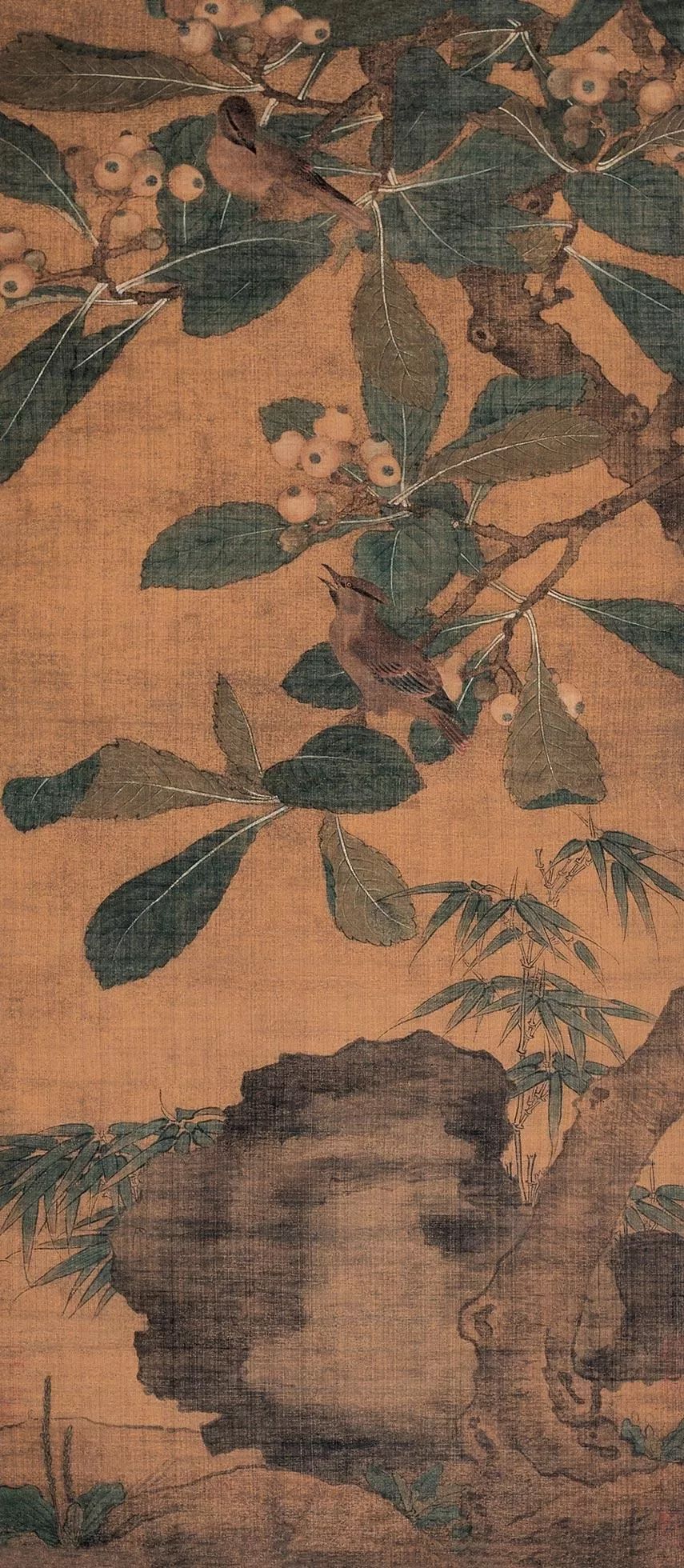 枇杷黄鸟图预览图