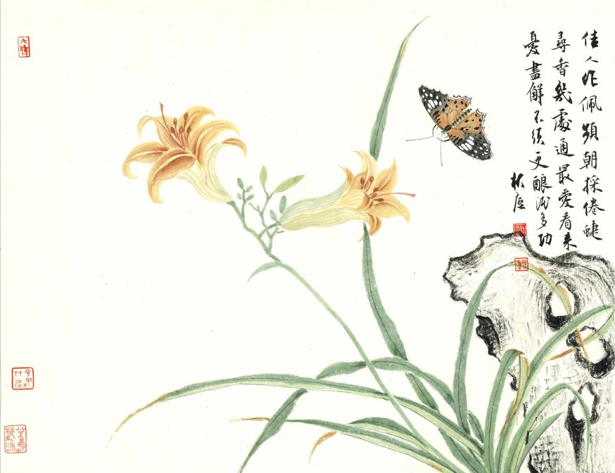 萱石蝶影缩略图