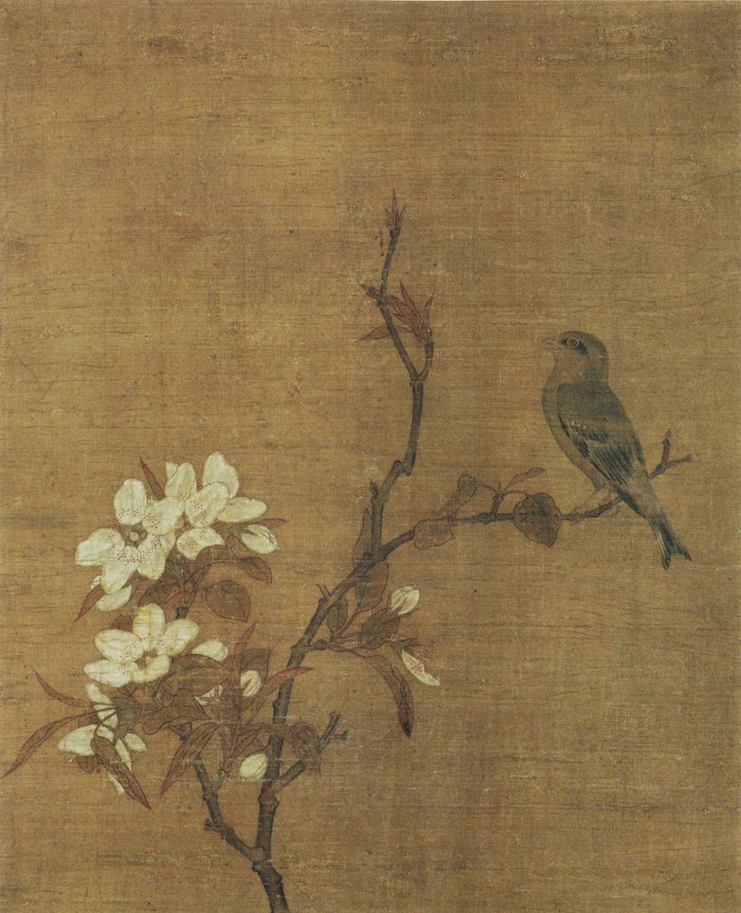 梨花小鸟图缩略图