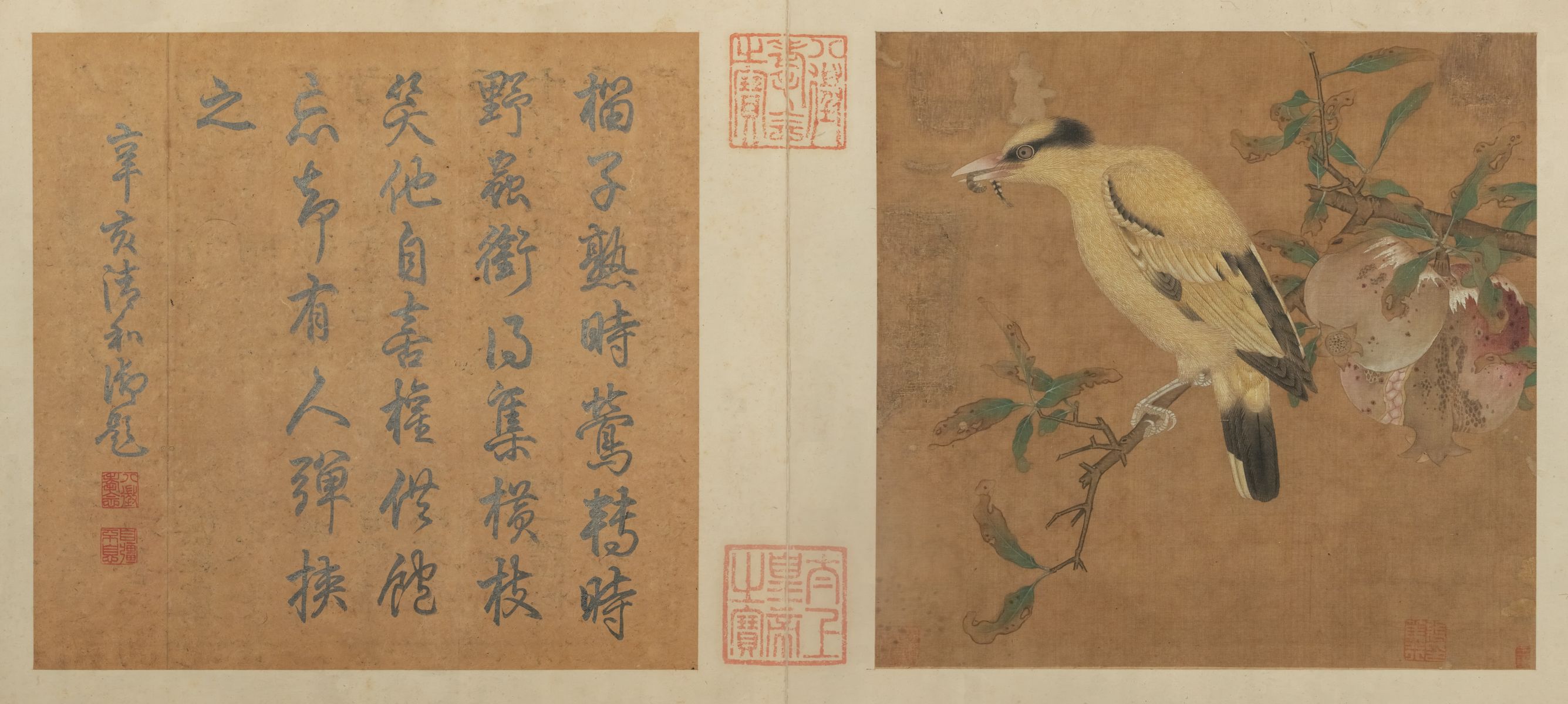 榴枝黄鸟图预览图