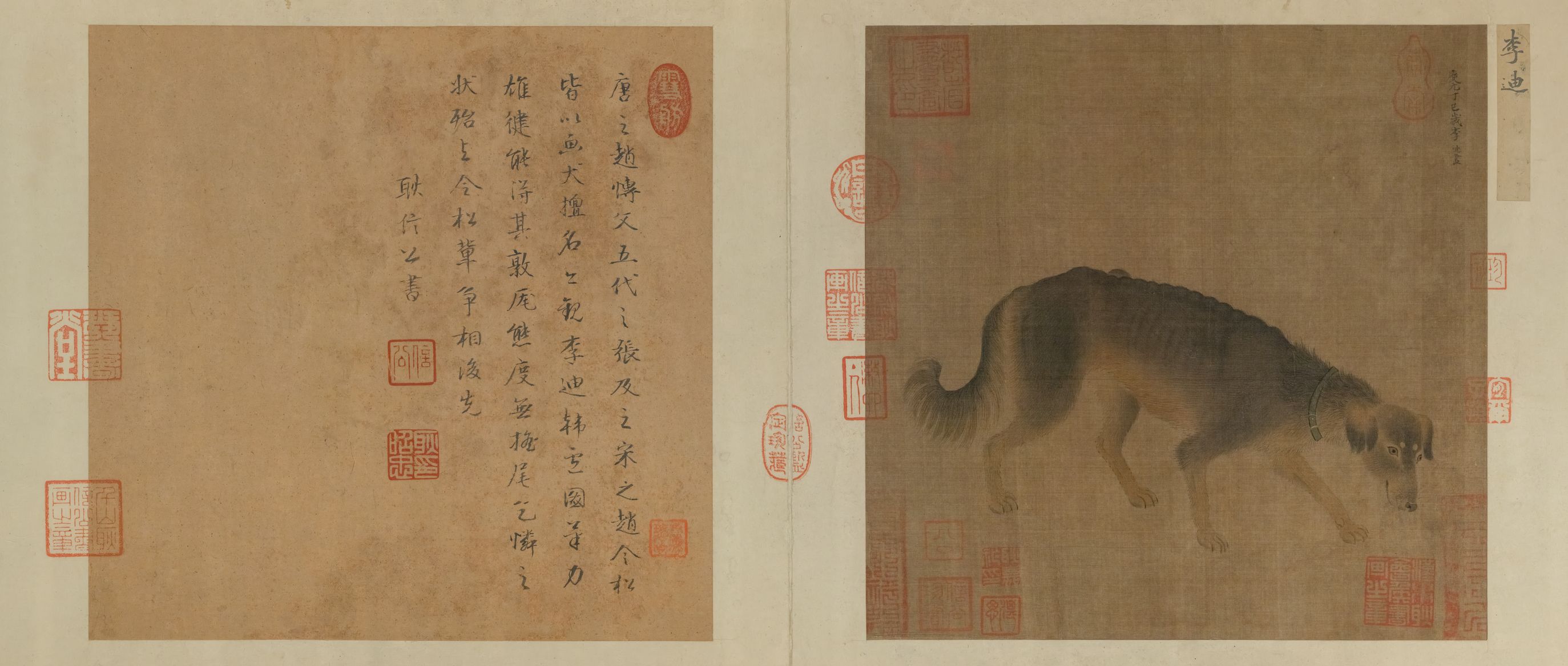 猎犬图预览图