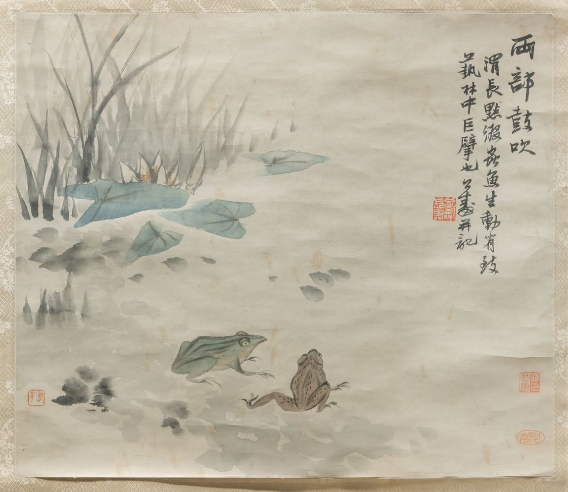 青蛙图缩略图