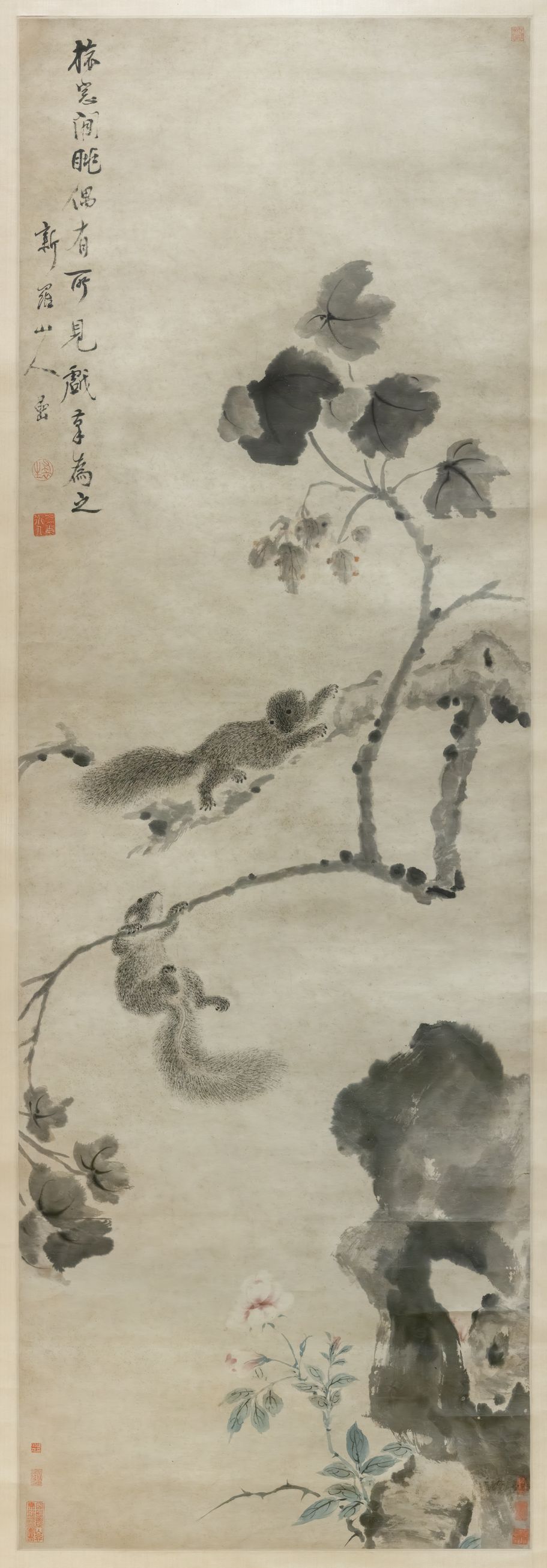 梧桐栗鼠图预览图