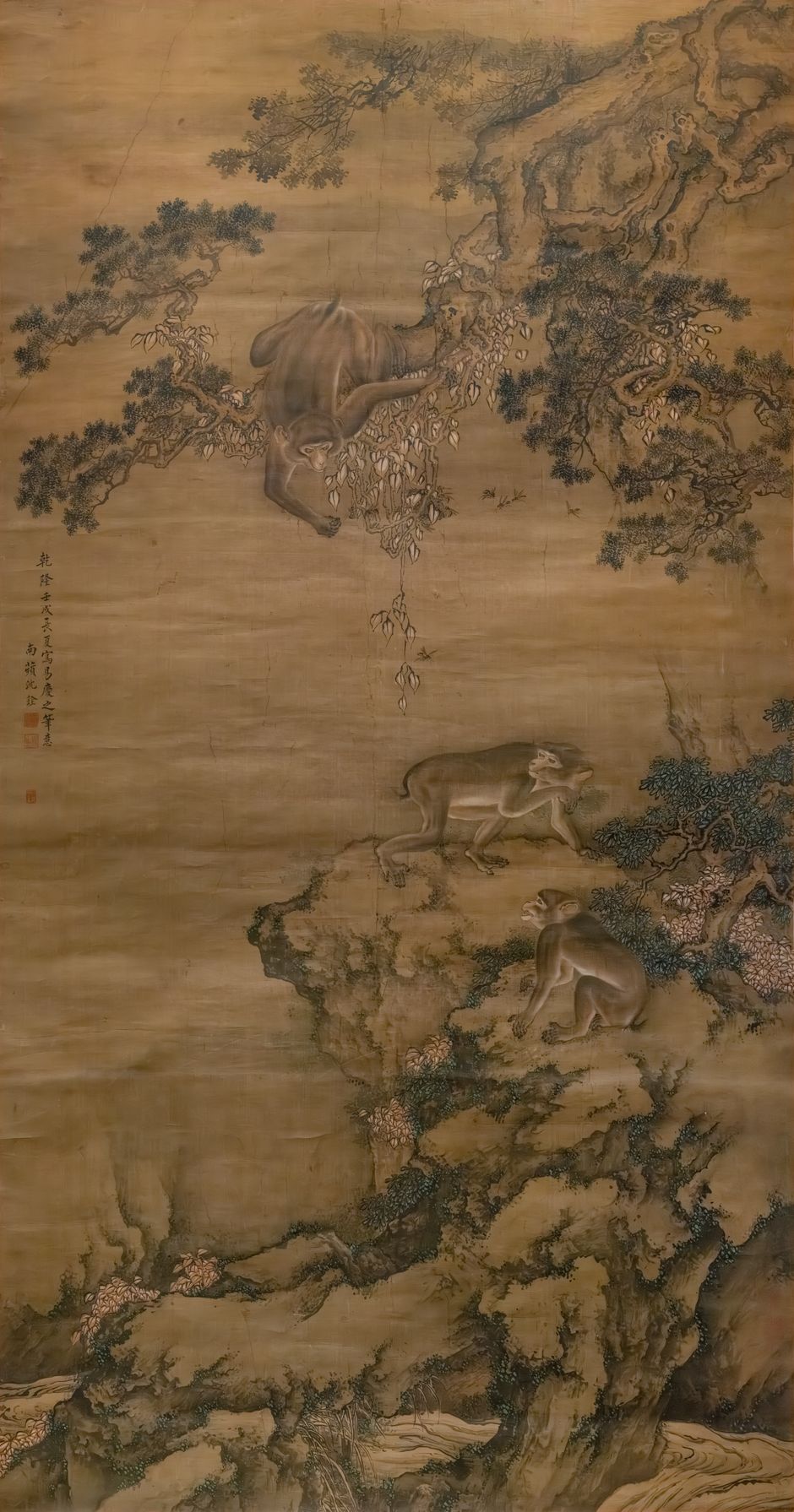蜂猴图缩略图
