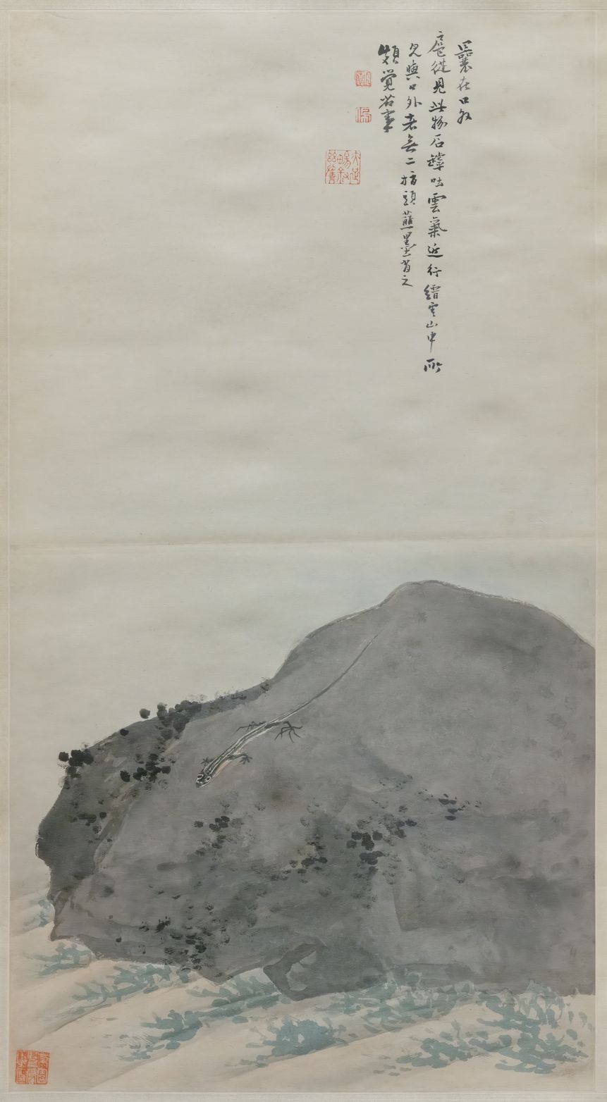 蜥蜴图缩略图