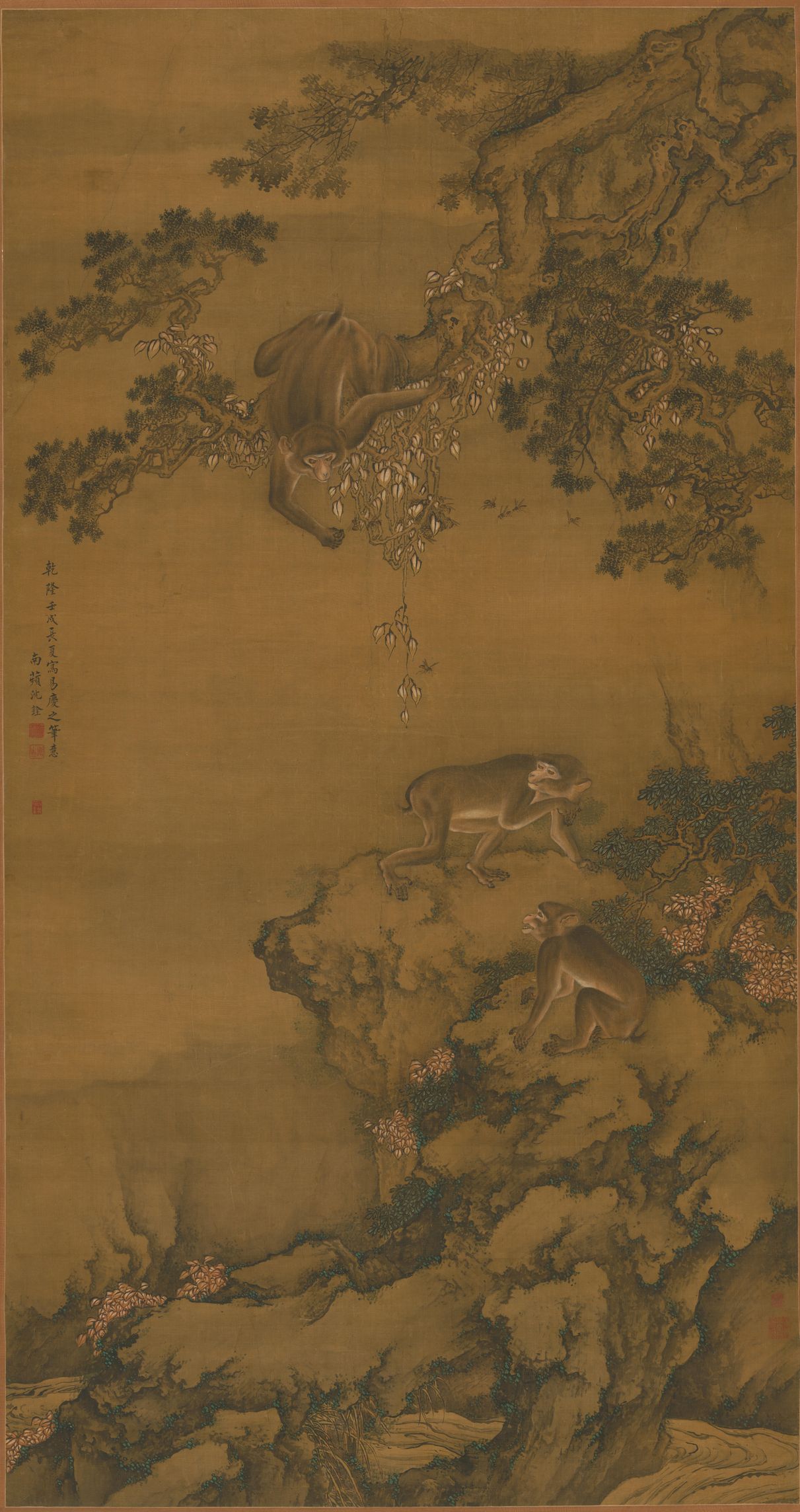 蜂猴图预览图
