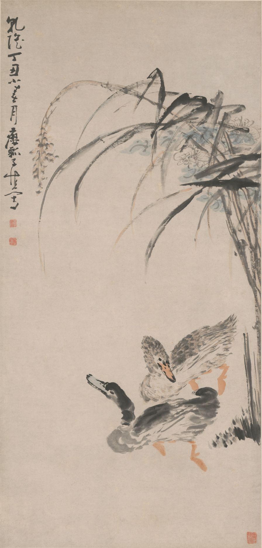 芦鸭图预览图