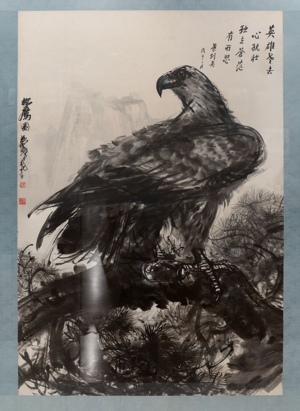 松鹰图预览图