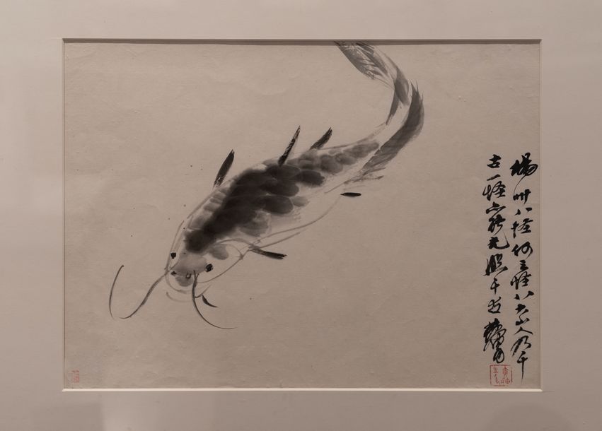 鲶鱼缩略图