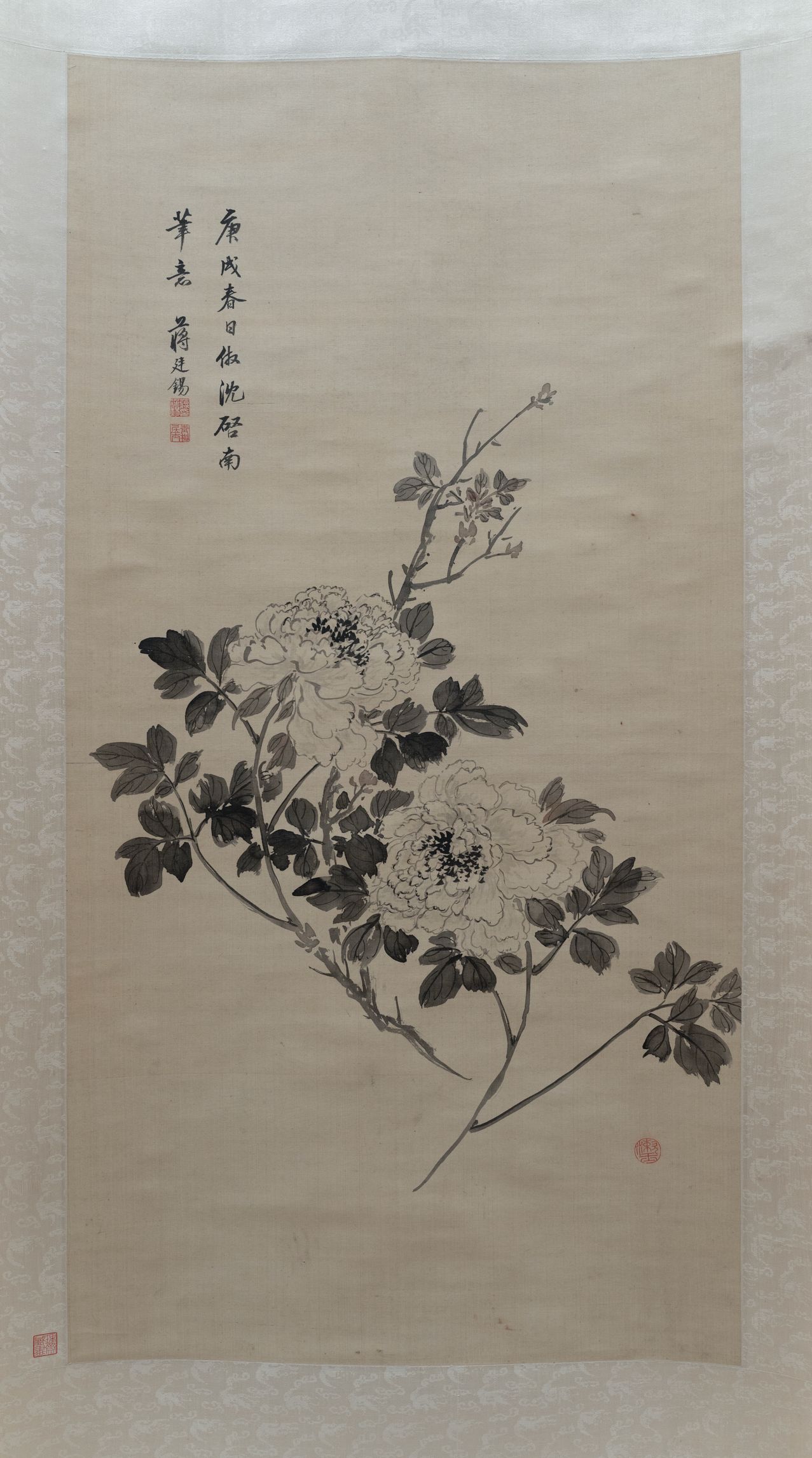 牡丹图缩略图