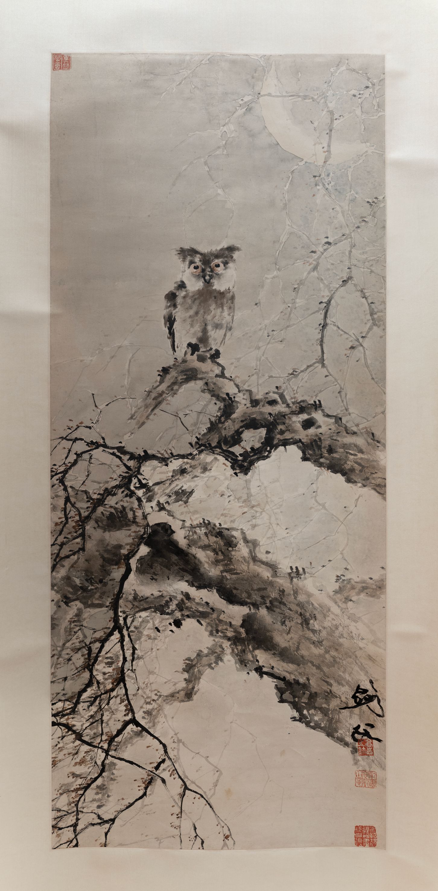 猫头鹰图预览图