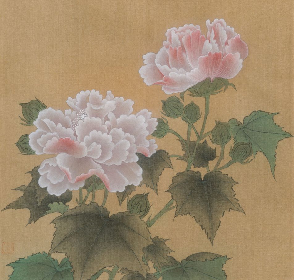 红芙蓉图缩略图