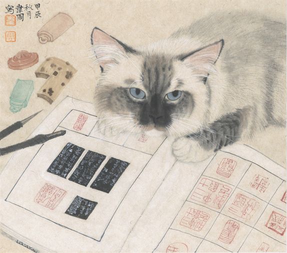 猫儿缩略图