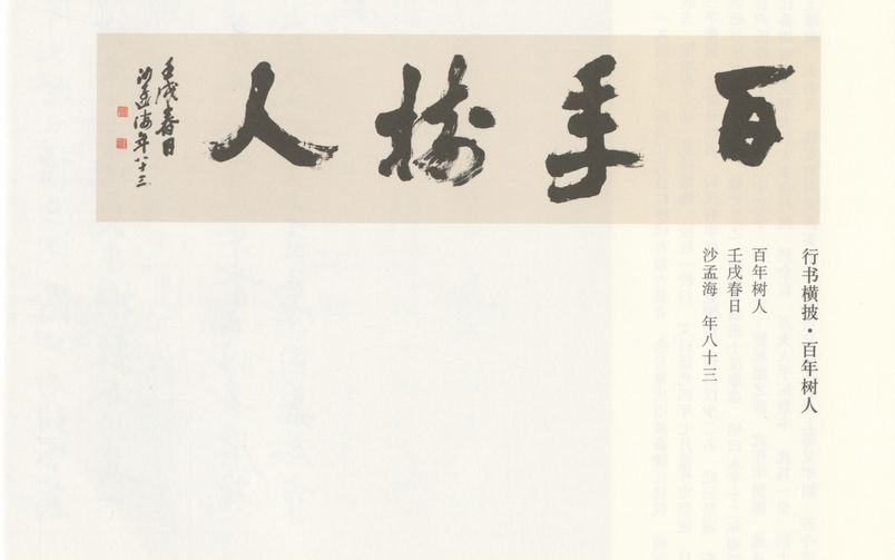 行书百年树人预览图