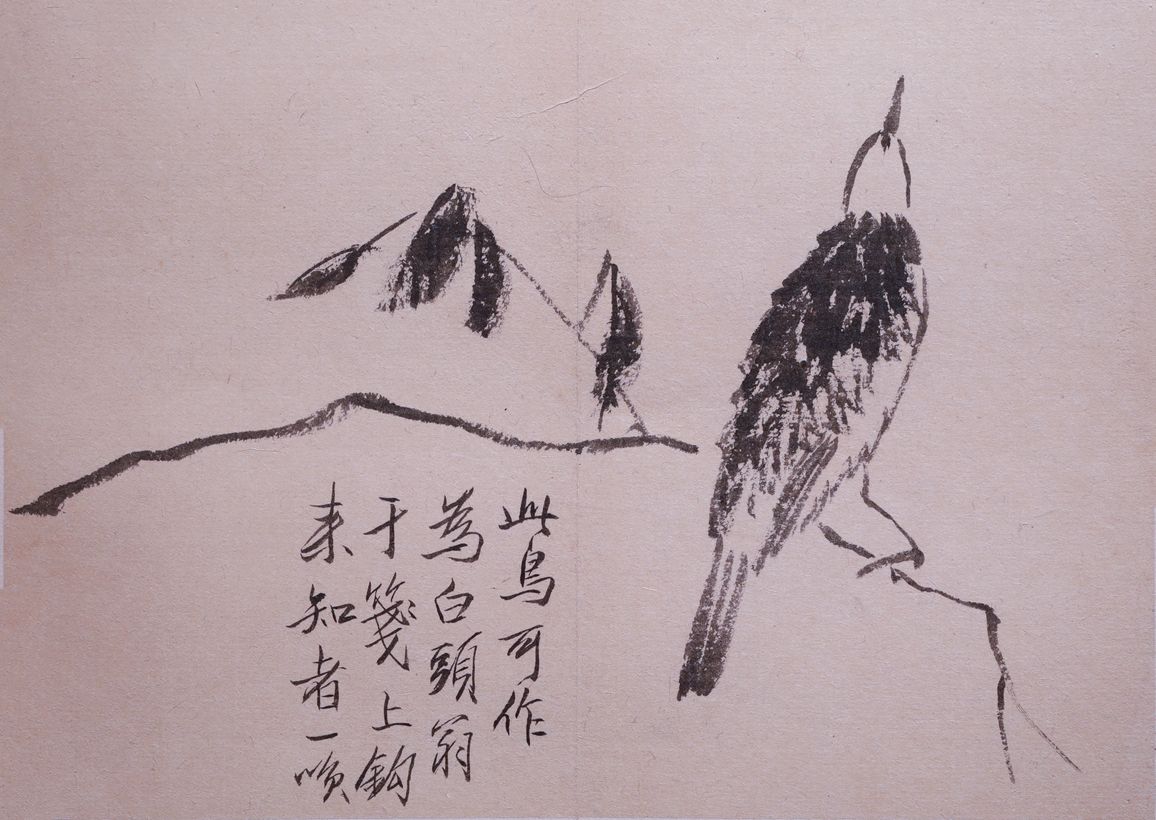 勾摹白头翁稿预览图
