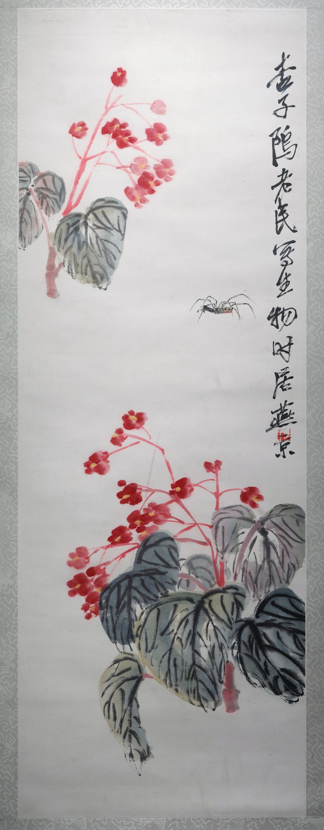 海棠蜘蛛预览图