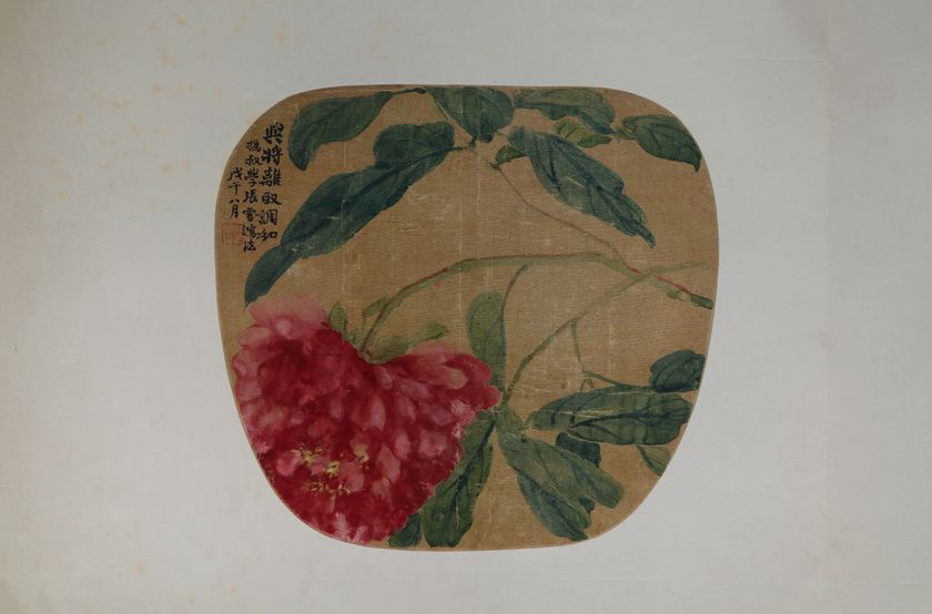 芍药纨扇图预览图