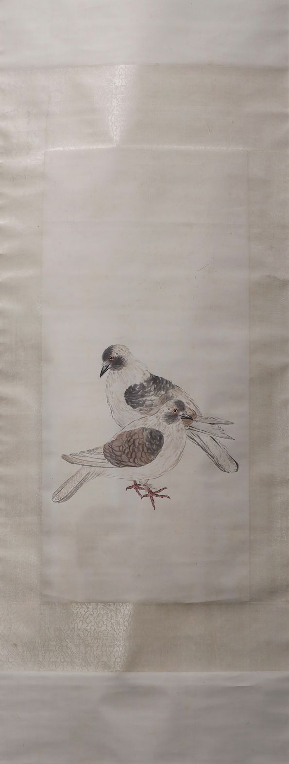 和平鸽缩略图