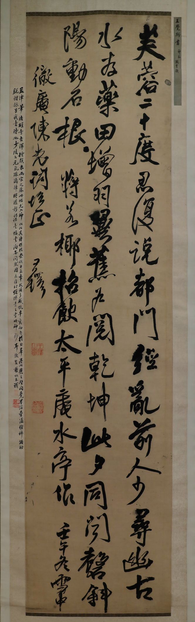 芙蓉二十度缩略图