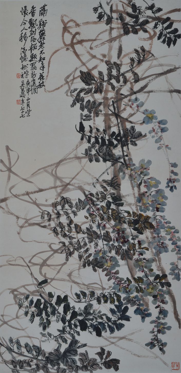 紫藤图预览图