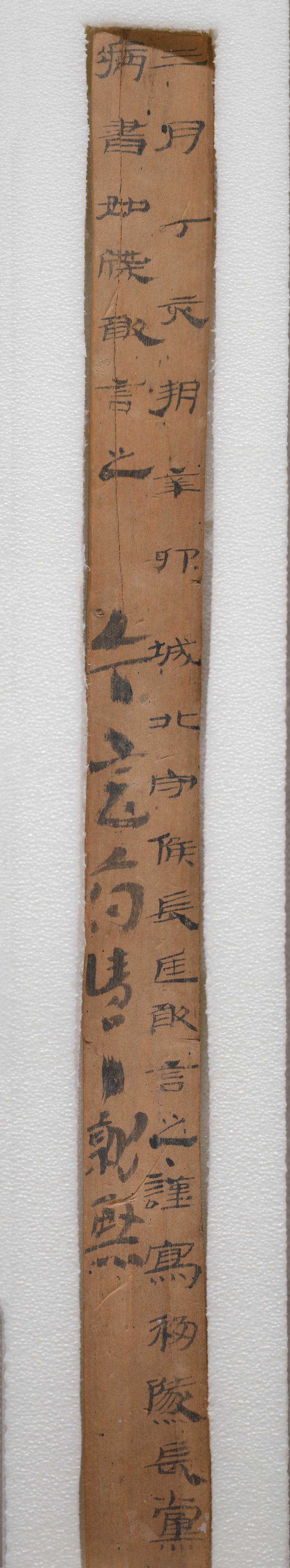 居延新简“三月丁亥”预览图