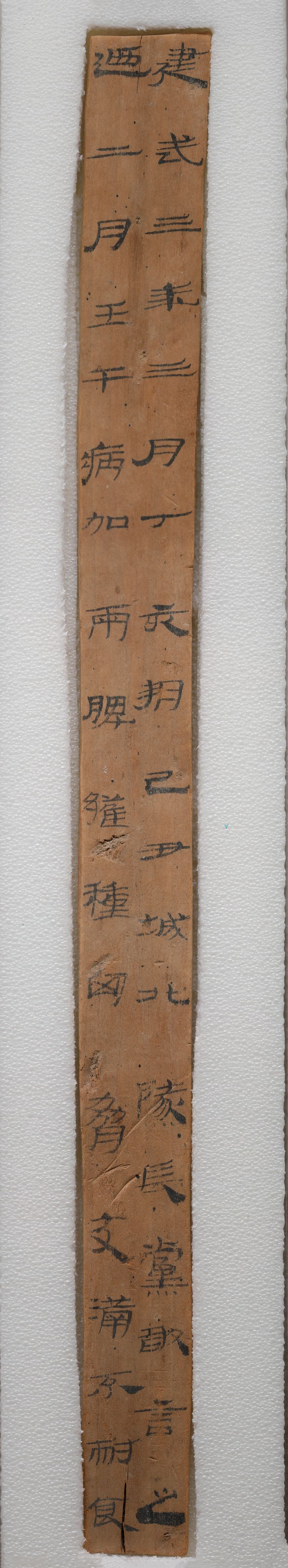 建武三年隧长病书预览图