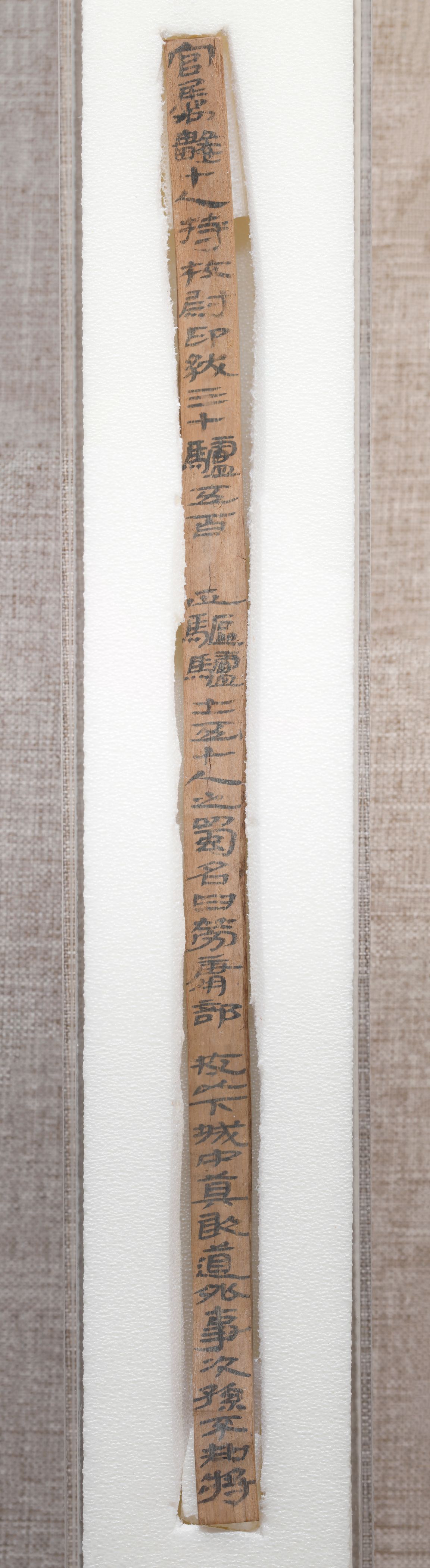 敦煌马圈湾“官属数十人”汉简预览图