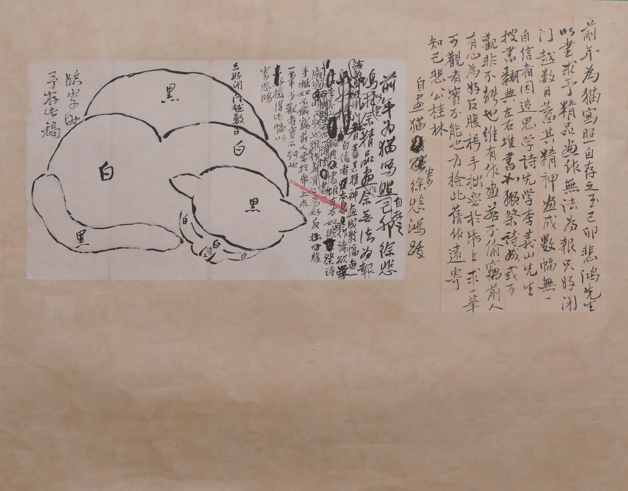 猫图预览图
