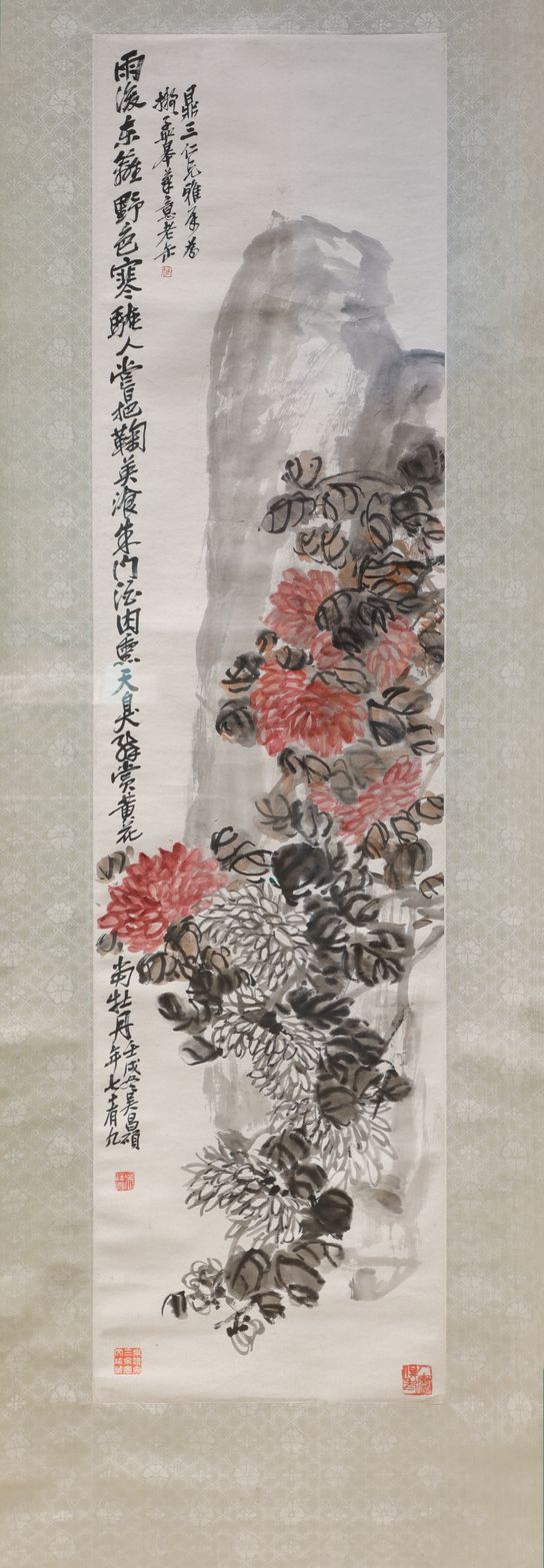 菊石图缩略图
