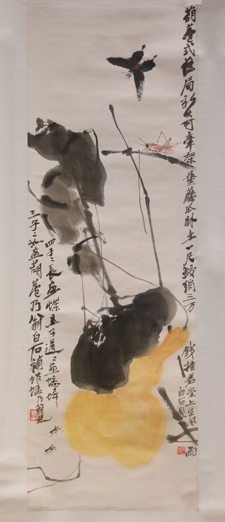 葫芦草虫图预览图