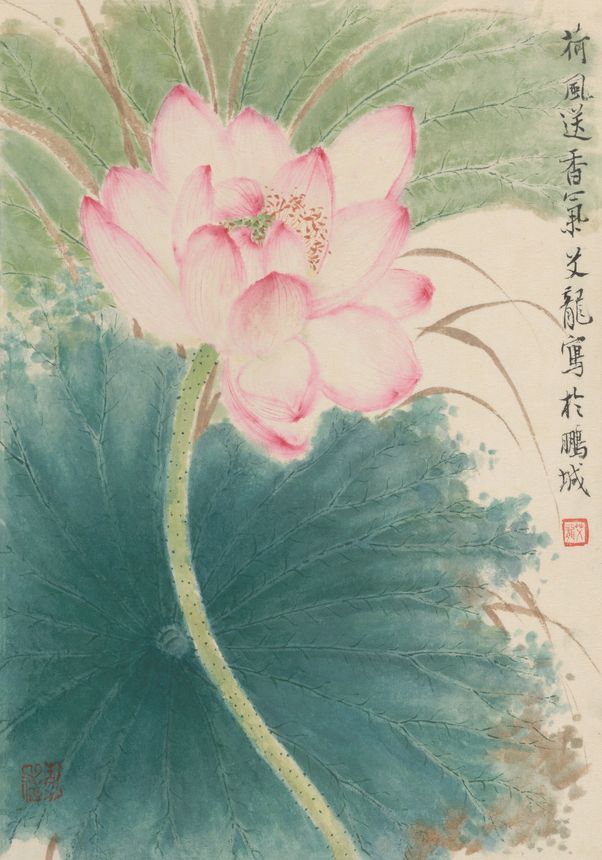 荷韵二缩略图