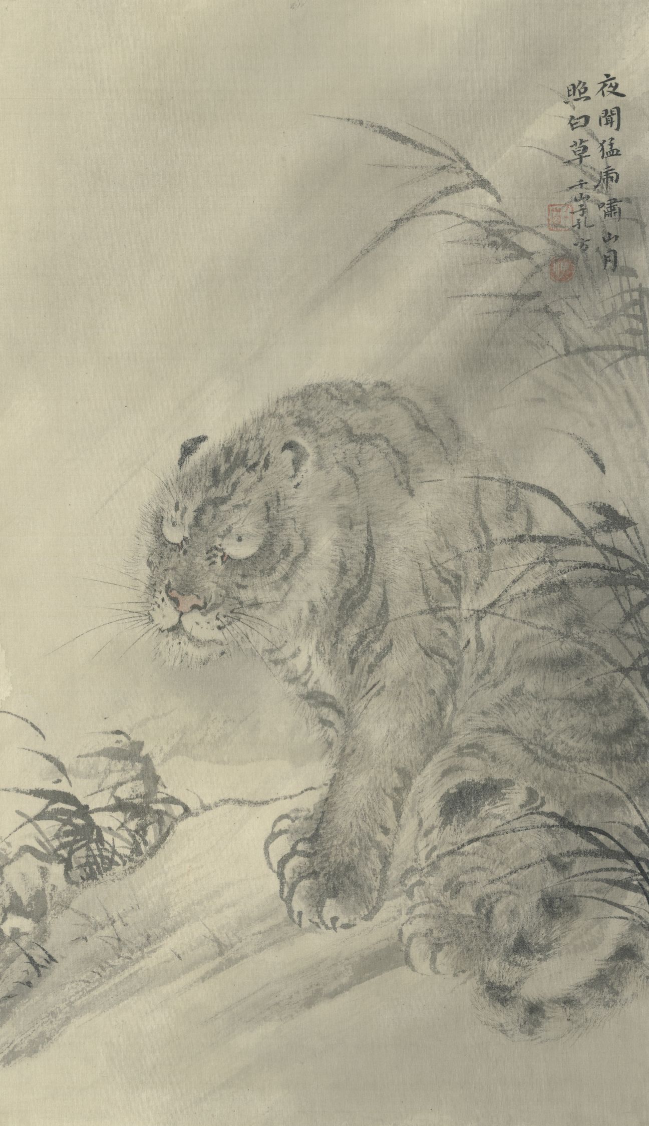 山月照白草缩略图
