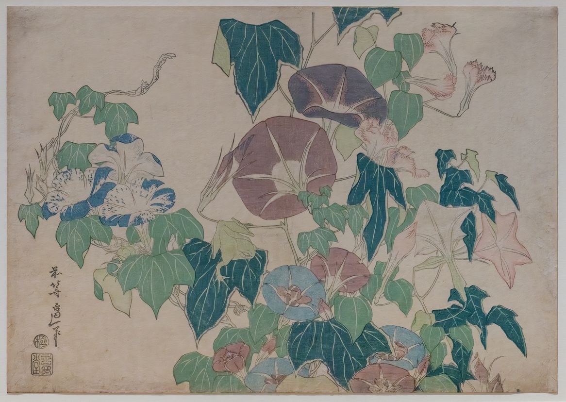牵牛花与蛙缩略图