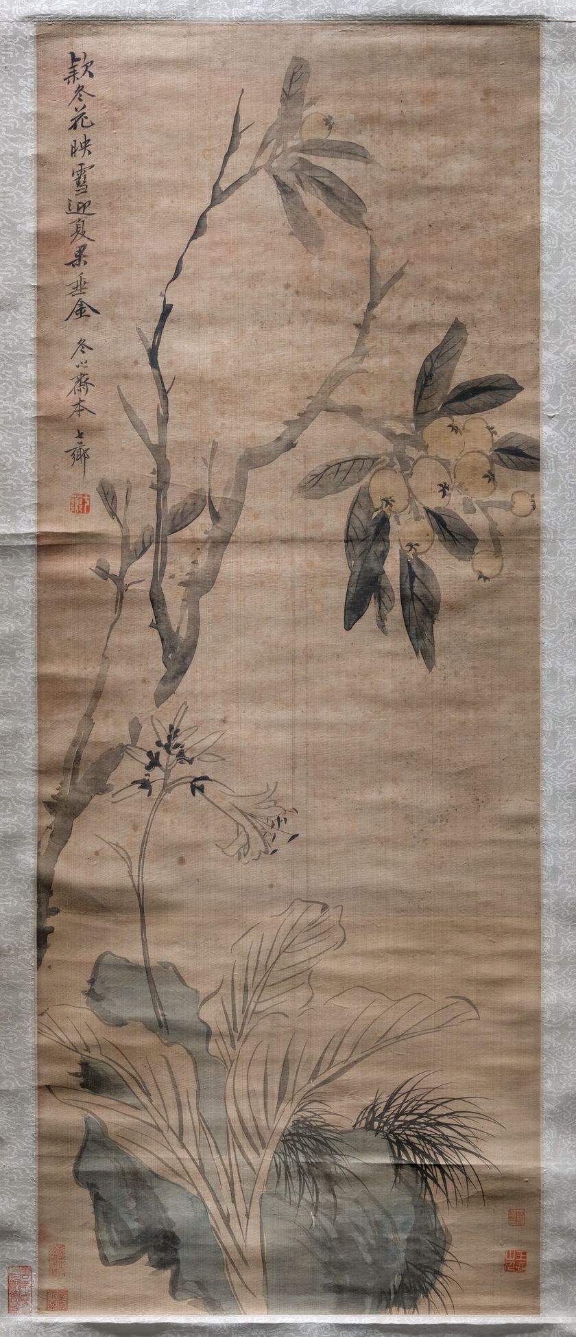 枇杷花卉图缩略图