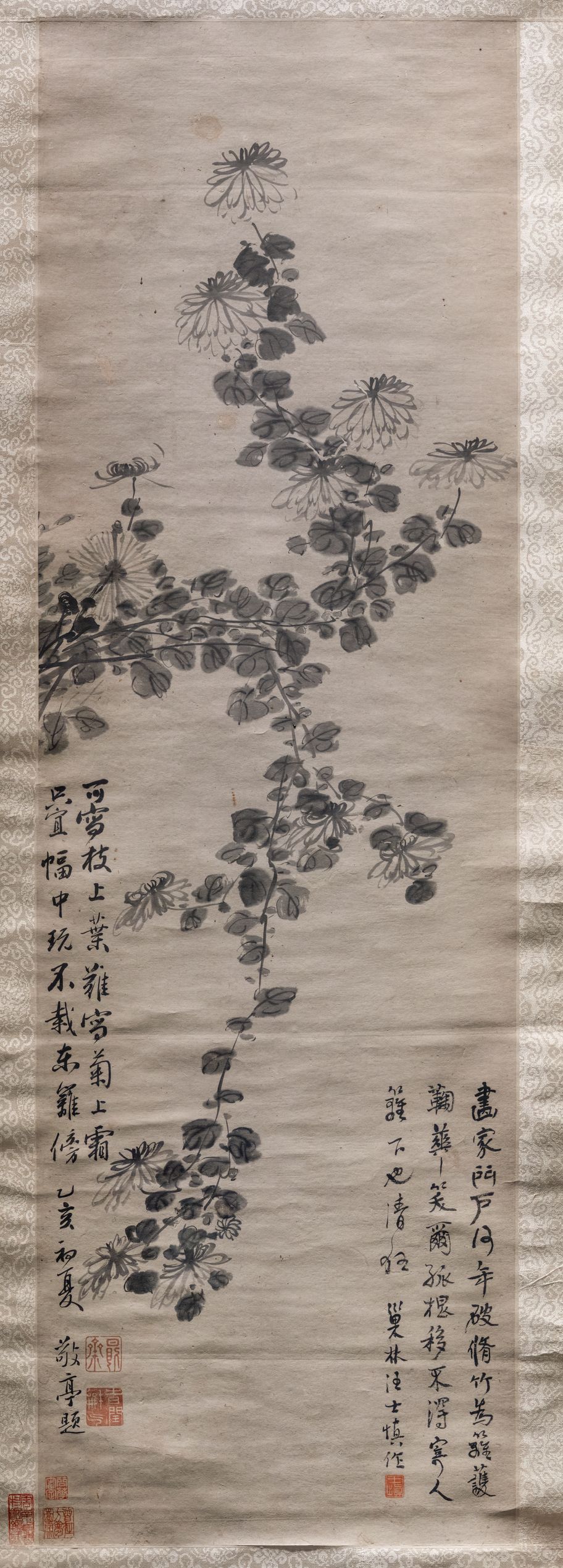 菊花图缩略图