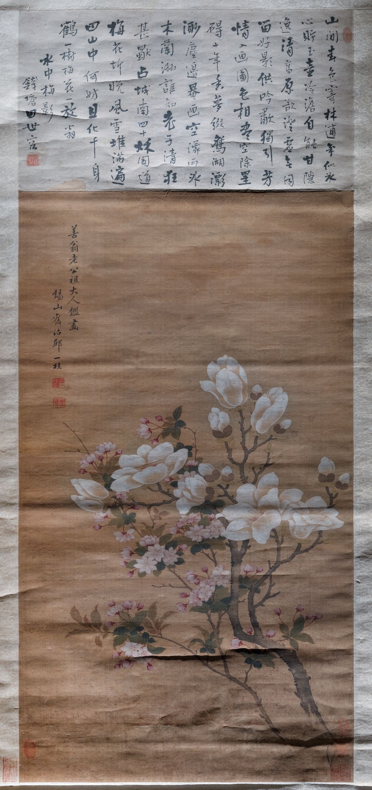 花卉图缩略图