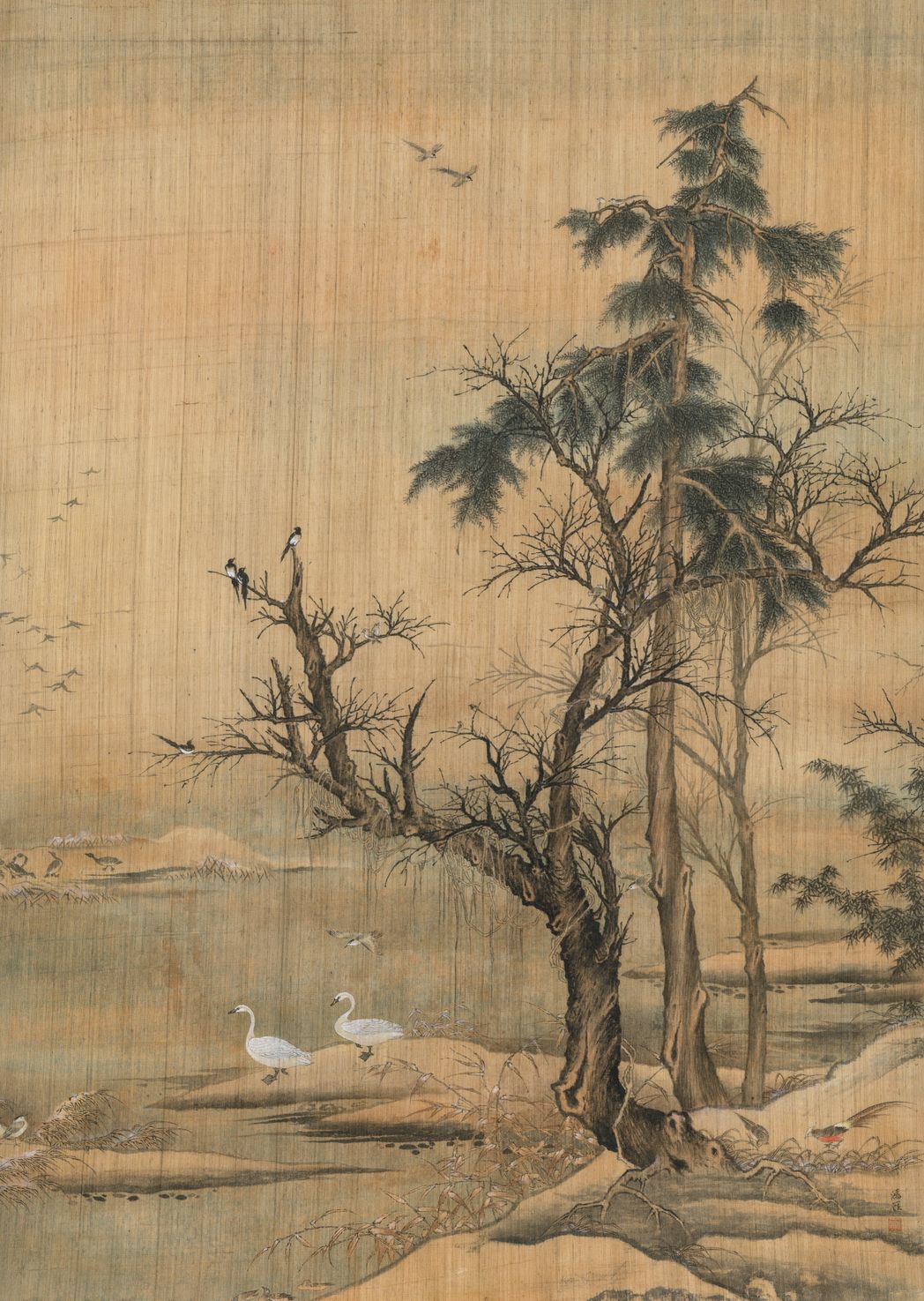临（传）五代黄筌枯木水禽图缩略图