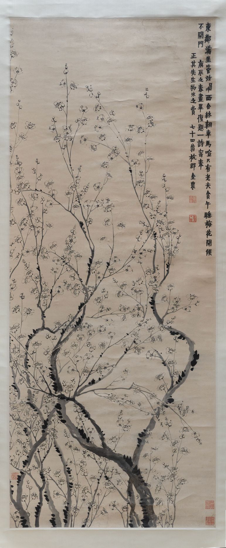 墨梅轴预览图