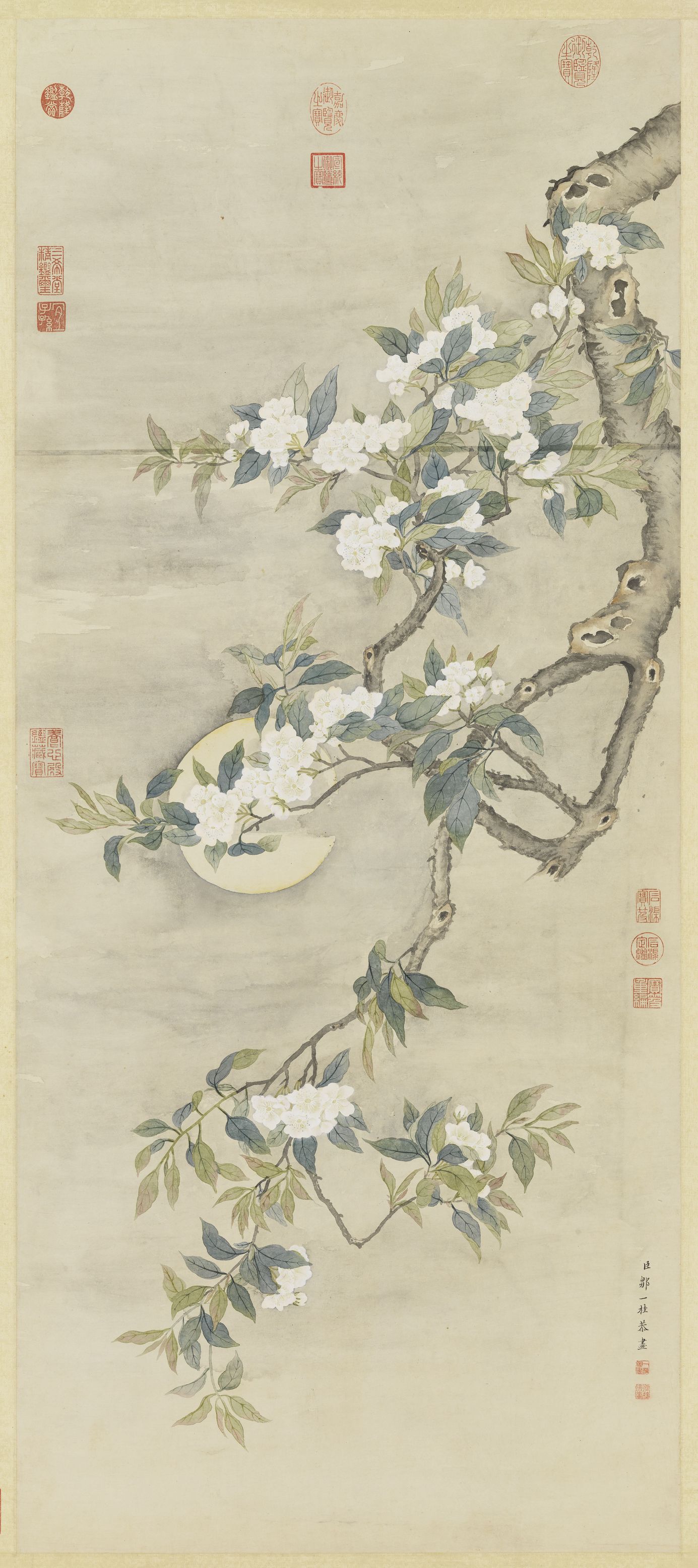 梨花夜月图预览图