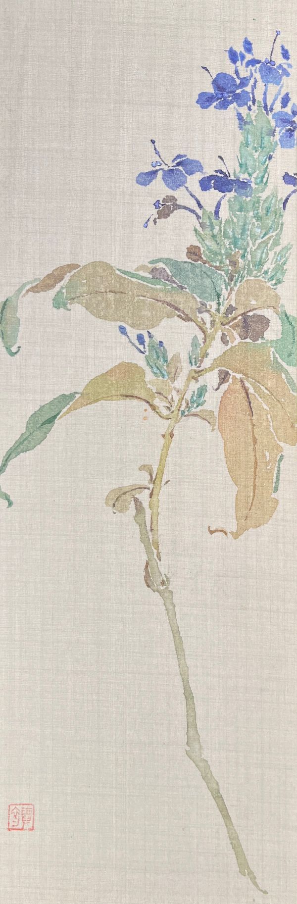 版纳写生•喜花草缩略图