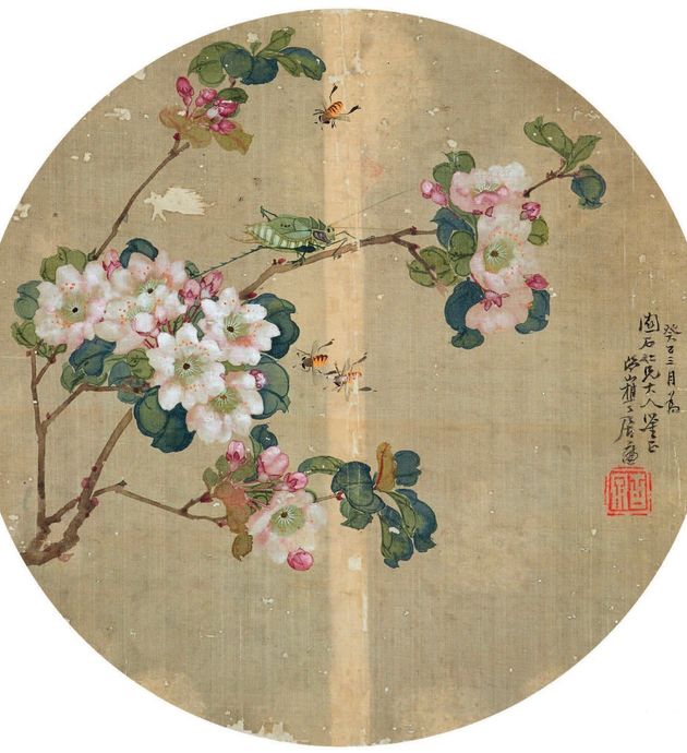海棠蜜蜂图缩略图